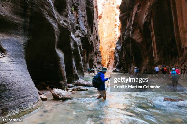 people hiking in the narrows, zion national park, usa - virgin river stockfoto's en -beelden