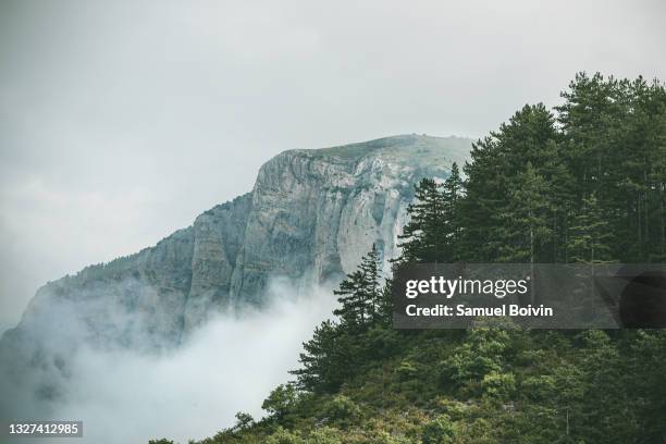 mountainous landscape with a pine forest and the summit caught in the mist after a storm in the vercors regional natural park - drome stock pictures, royalty-free photos & images