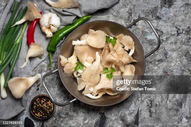 pleurotus ostreatus or commonly the oyster mushrooms - oyster mushroom stock pictures, royalty-free photos & images