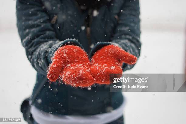 catching snowflakes - sneeuwen stockfoto's en -beelden