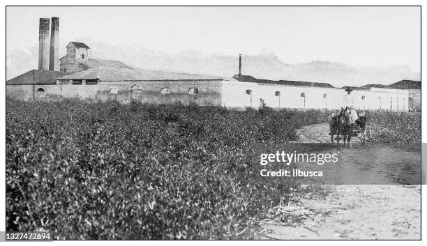 ilustraciones, imágenes clip art, dibujos animados e iconos de stock de fotografía antigua en blanco y negro: ingenio azucarero, cárdenas, cuba - cuban culture