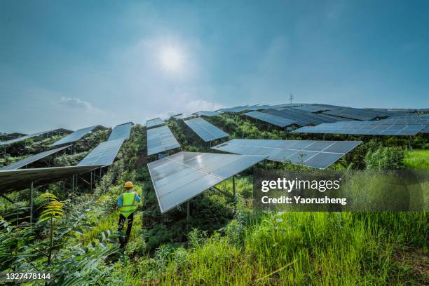 solar panel under a sunny day with blue sky,green energy concept photo - solar energy dish 個照片及圖片檔