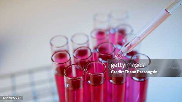 54 Plate Measuring Microscope Stock Photos, High-Res Pictures, and ...