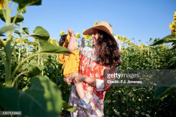 aunt with niece in the sunflower field - one and a half summer stock pictures, royalty-free photos & images