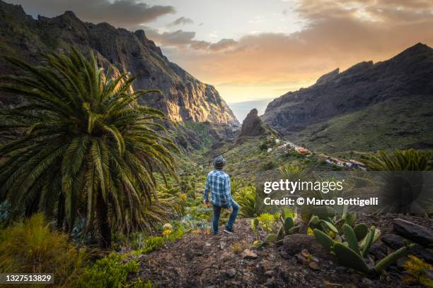 tourist admiring the view in masca, tenerife, spain - teneriffa bildbanksfoton och bilder