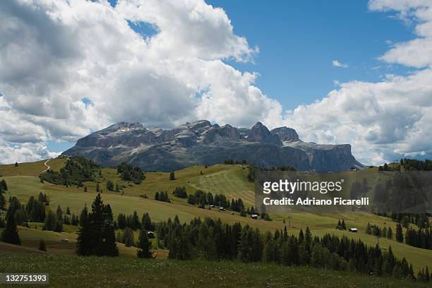 mountain with pine tree and cloudy sky - adriano ficarelli stockfoto's en -beelden