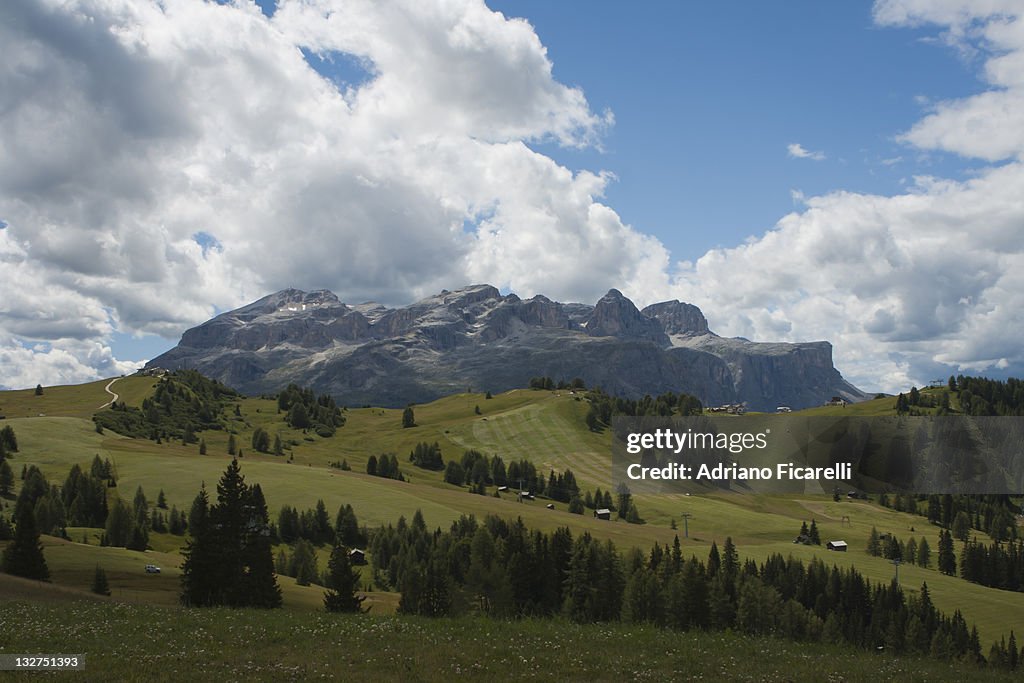 Mountain with pine tree and cloudy sky