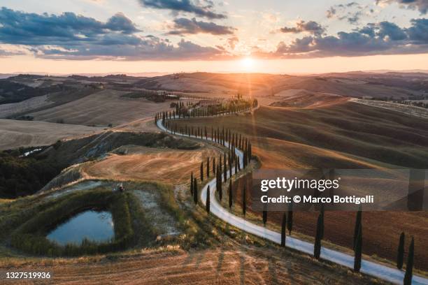 Cypress Street Photos and Premium High Res Pictures Getty Images