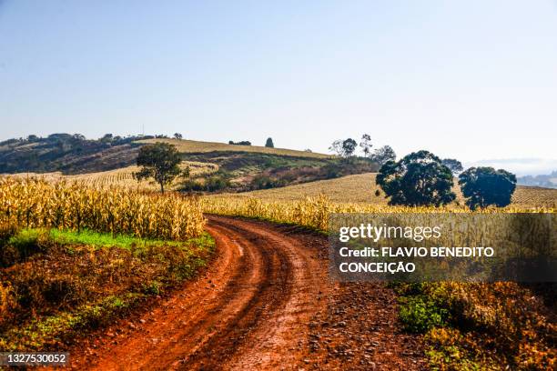 farms with corn planting after frost - country road - fotografias e filmes do acervo