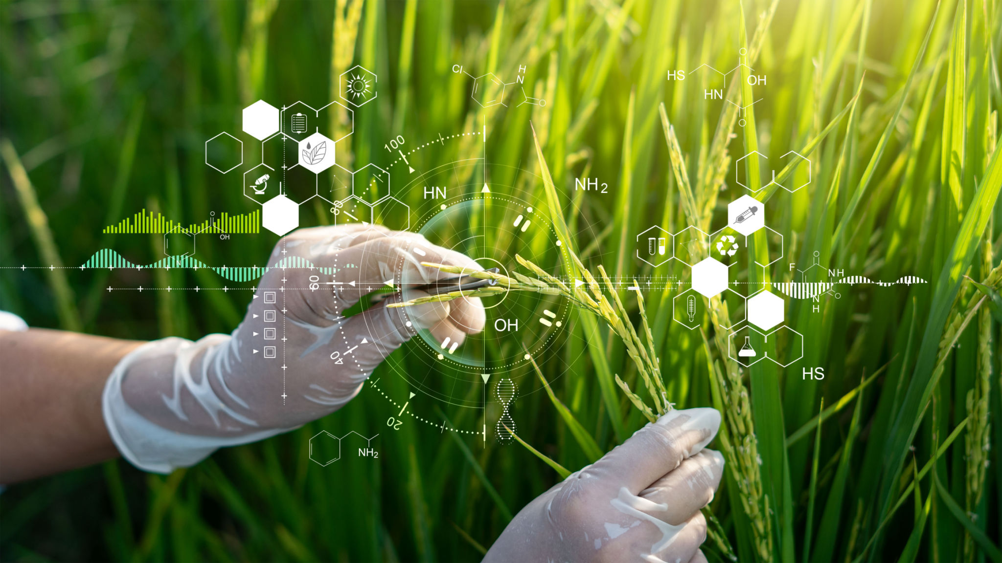 genetics nutrition