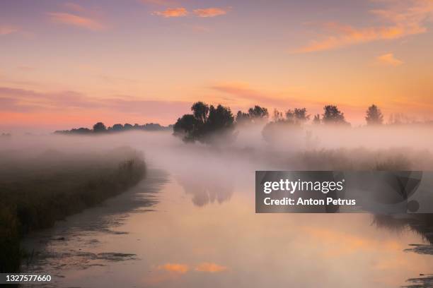 beautiful misty dawn in the summer on the river - spring flowing water stock pictures, royalty-free photos & images