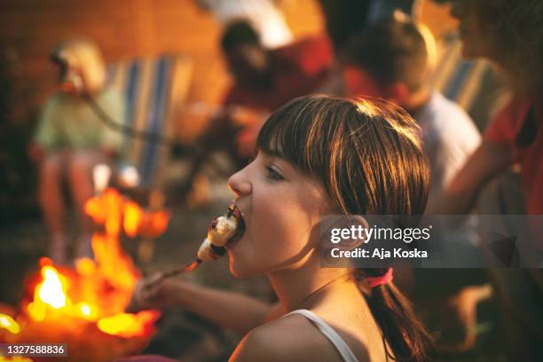 enjoying roasted marshmallows. - campfire bildbanksfoton och bilder