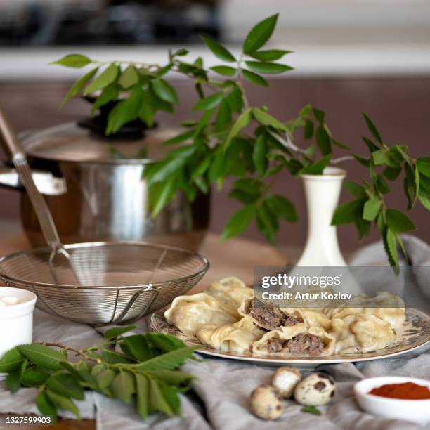 cooked dumplings stuffed with minced meat. food plate, sieve and saucepan on kitchen table. convenience food. square format. side view. soft focus - coador imagens e fotografias de stock