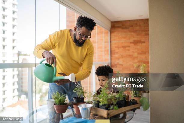 father and son watering plants at home - man with family in home stock pictures, royalty-free photos & images