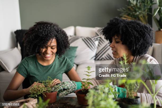 mother and daughter taking care of plants together at home - companion planting stock pictures, royalty-free photos & images