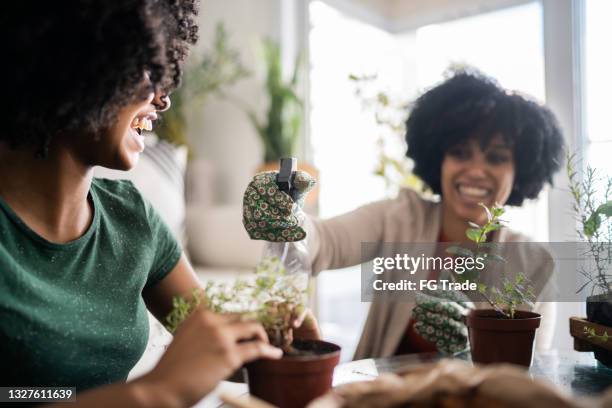 mother and daughter taking care of plants together at home - mature woman herbs stock pictures, royalty-free photos & images