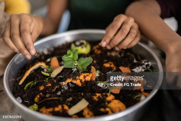 family hands gardening and composting at home - compost garden stockfoto's en -beelden