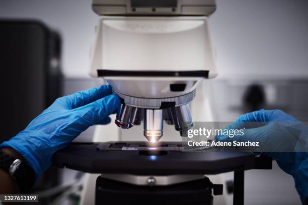 Microscope Self Image 628 Zoom Microscope Stock Photos, High-Res Pictures, and Images - Getty ...