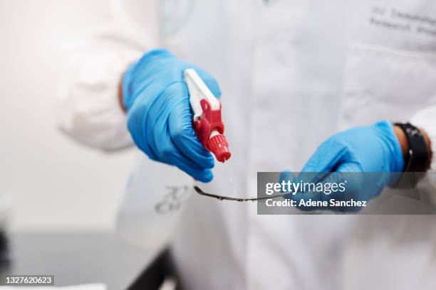 Sanitizing Instruments Sterilization Of Medical Instruments Photos and Premium High Res ...