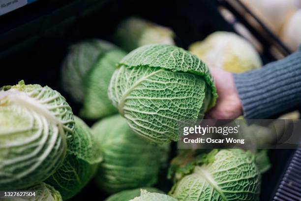 woman holding fresh gabbage in hand - cabbage family fotografías e imágenes de stock