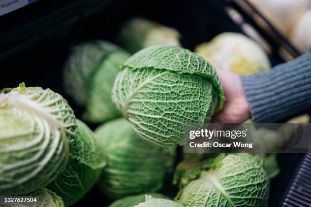 woman holding fresh gabbage in hand - cabbage family stock pictures, royalty-free photos & images