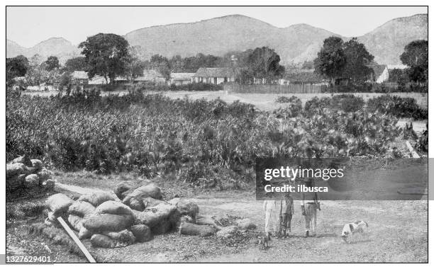 antique black and white photograph: santa fe, isla de la juventud - cuban culture stock illustrations