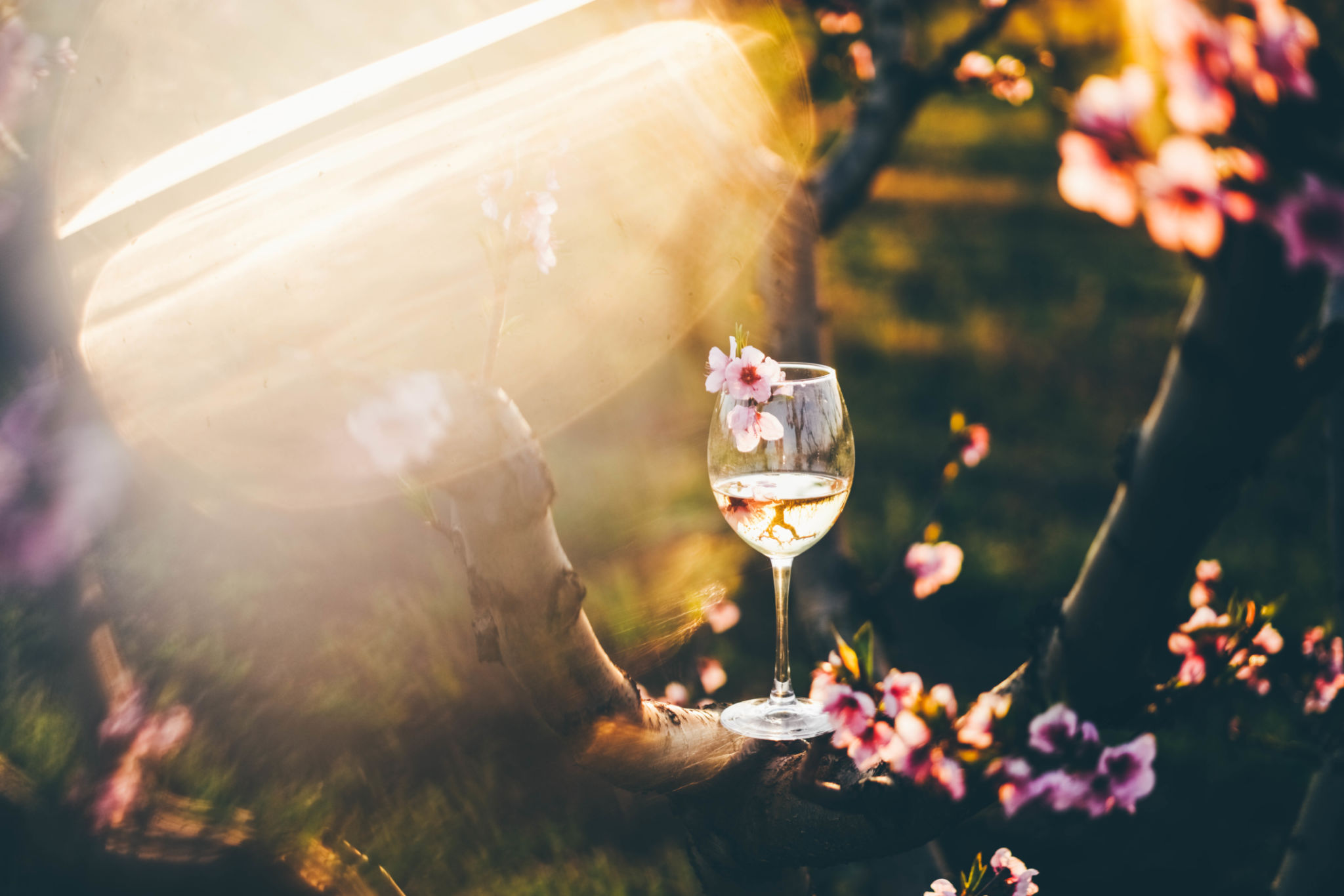 spring wine pairing
