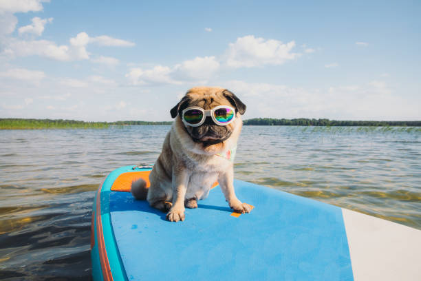 10 Best Things to Do in Durban for Your Family 10 Best Things to Do in Durban for Your Family