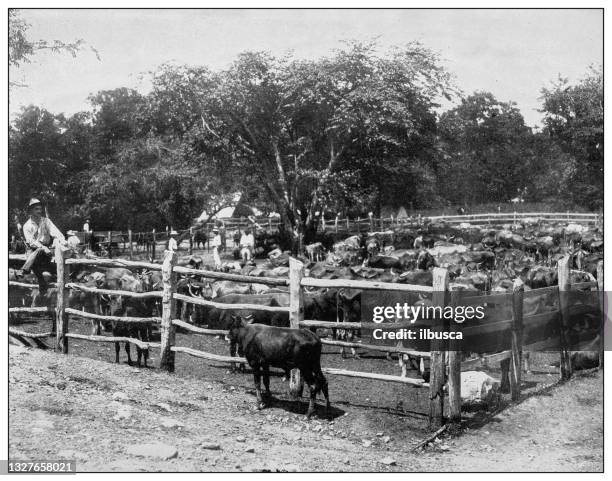 Puerto Rico Ranch 245 Ranch Style Architecture Stock Photos, High-Res Pictures, and ...