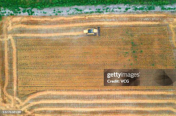 Aerial view of a combine harvester working at a wheat field on July 8, 2021 in Bohu County, Bayingol Mongolian Autonomous Prefecture, Xinjiang Uygur...