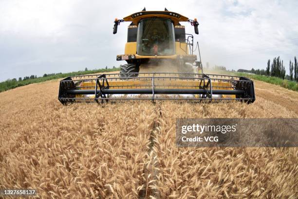 Combine harvester works at a wheat field on July 8, 2021 in Bohu County, Bayingol Mongolian Autonomous Prefecture, Xinjiang Uygur Autonomous Region...