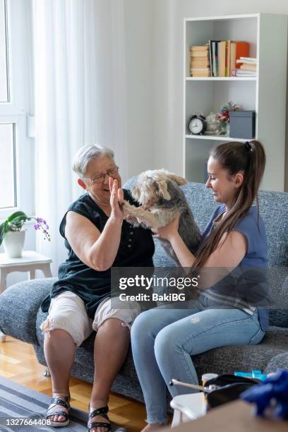 home visit - volunteer aged care stock pictures, royalty-free photos & images