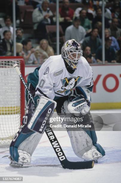 Dominic Roussel, Goalkeeper for the Mighty Ducks of Anaheim looks on tending goal during the NHL Western Conference Pacific Division game against the...