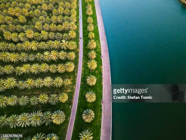 sharjah oasis with large area with palm trees and grass field by the al noor island aerial in the uae top view - panorama dubai stockfoto's en -beelden
