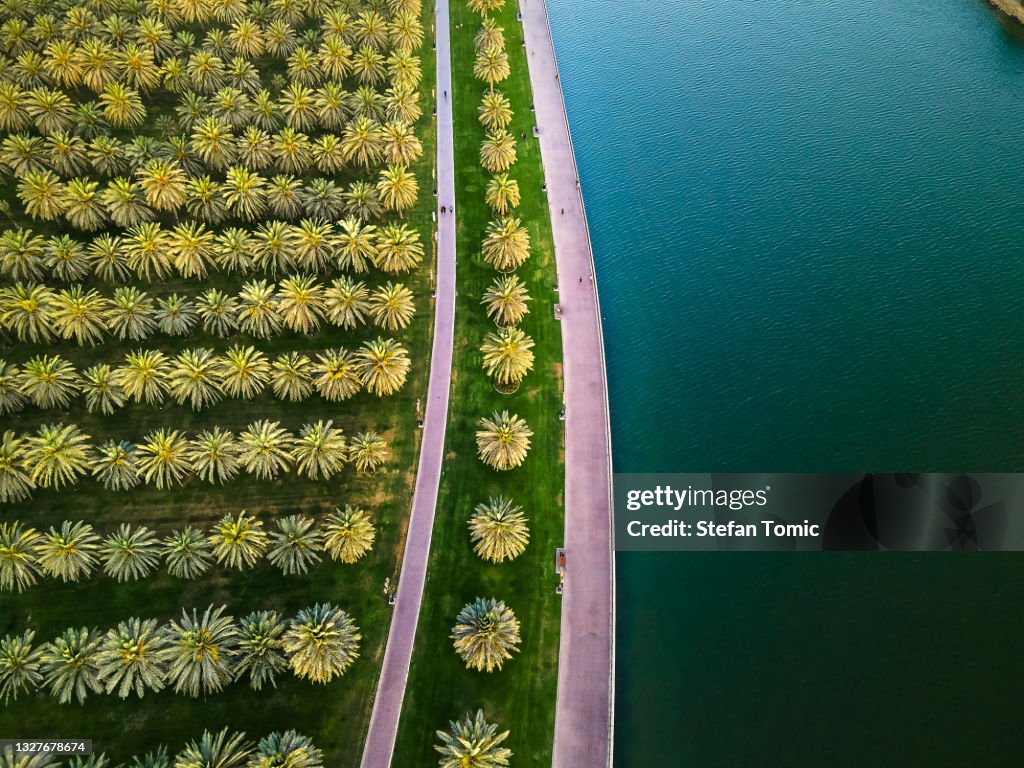 Sharjah oasis with large area with palm trees and grass field by the Al Noor island aerial in the UAE top view