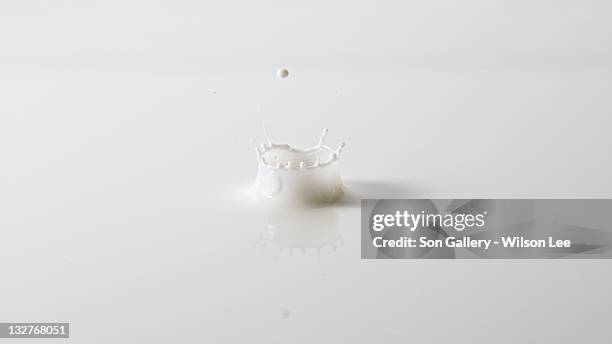 milk crown - splash crown fotografías e imágenes de stock