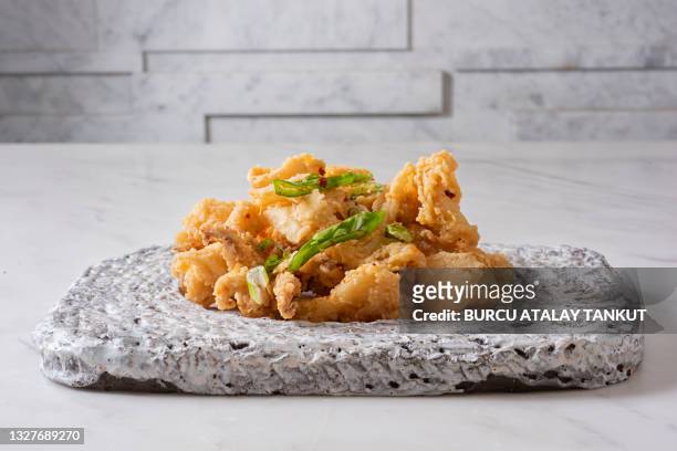 fine dining gourmet dish, fried calamari - fried turkey stock pictures, royalty-free photos & images