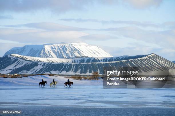 riders in front of on partly frozen lake myvatn, volcanoes, ludent, hverfjall, myvatn, iceland - see mývatn stock-fotos und bilder