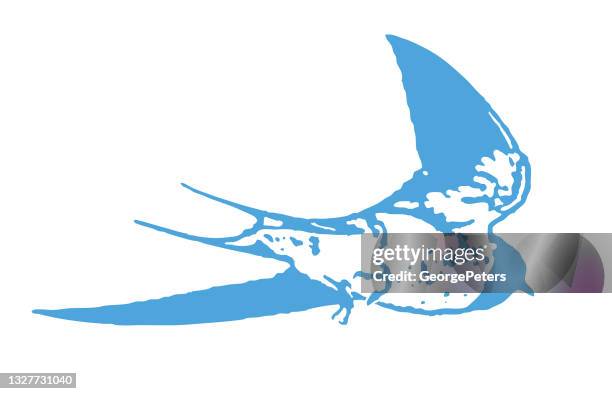 barn swallow in flight - purple martin stock illustrations
