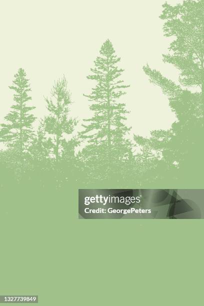 pine forest line art - tree tops stock illustrations