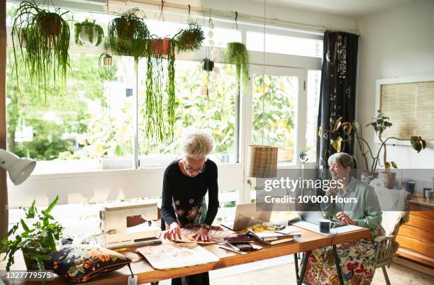 two business partners working together at home - well structure stock pictures, royalty-free photos & images