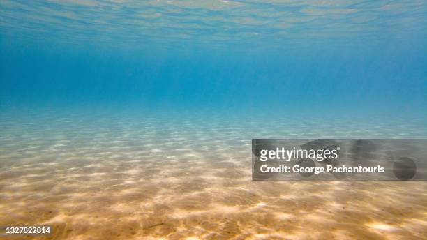 underwater photo of sea and sand floor - lowest stockfoto's en -beelden