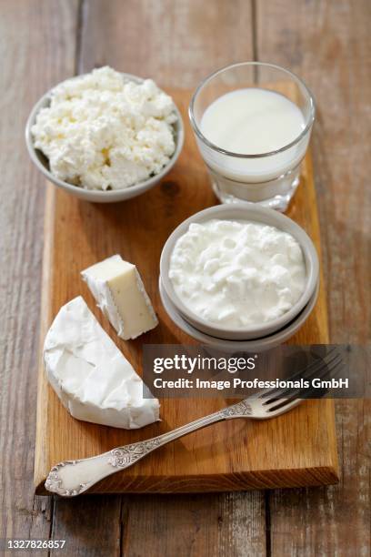 an arrangement of soft cheese, yoghurt, milk and quark - yogurt milk stock pictures, royalty-free photos & images