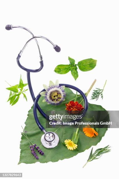 Medical Instrument Flower Stethoscope Flower Photos and Premium High Res Pictures - Getty Images