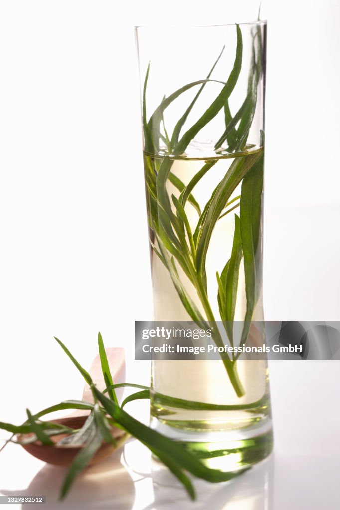 Homemade tarragon vinegar in a cylindrical glass