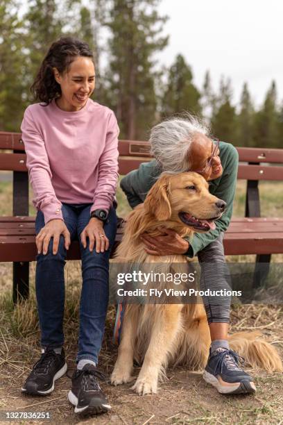you are an important part of our family! - woman dog bench stock pictures, royalty-free photos & images