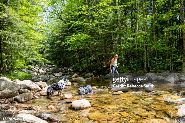 teenager playing near water with dogs - montañas apalaches fotografías e imágenes de stock