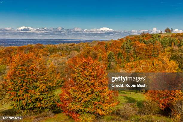 autumn colours of chiltern hills and great kimble warren, buckinghamshire, england - hügelkette chiltern hills stock-fotos und bilder