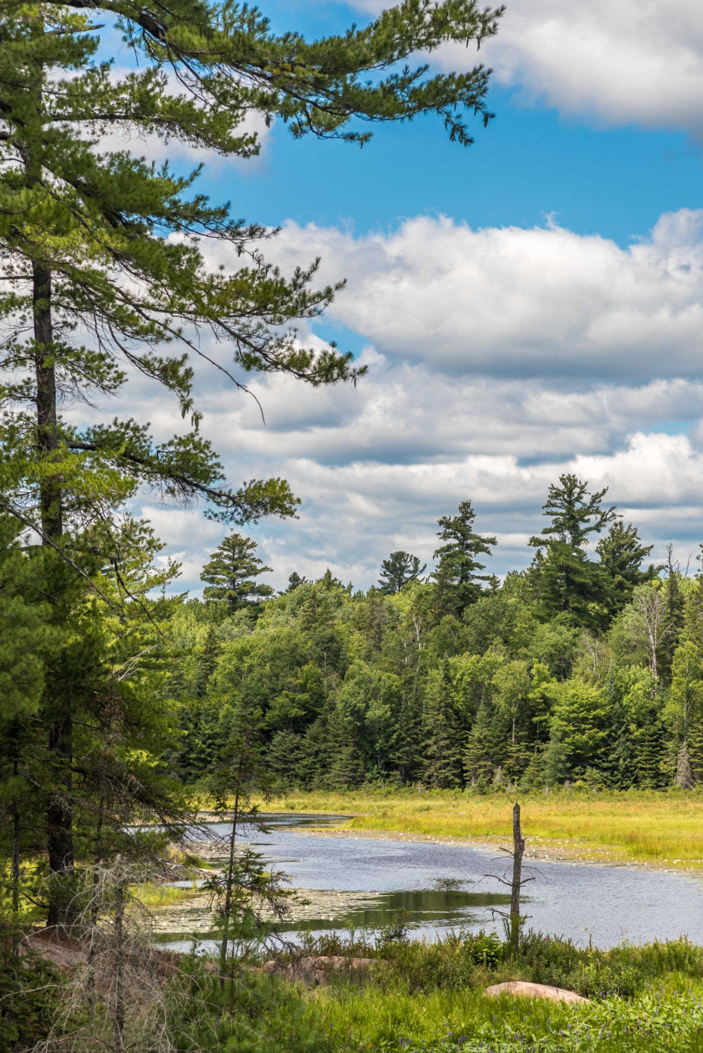 Petawawa nature