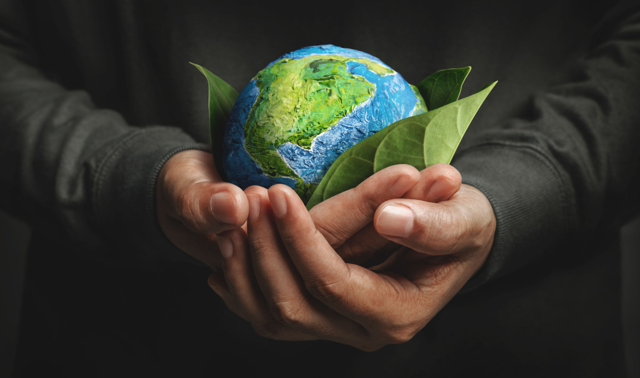 international nonprofit